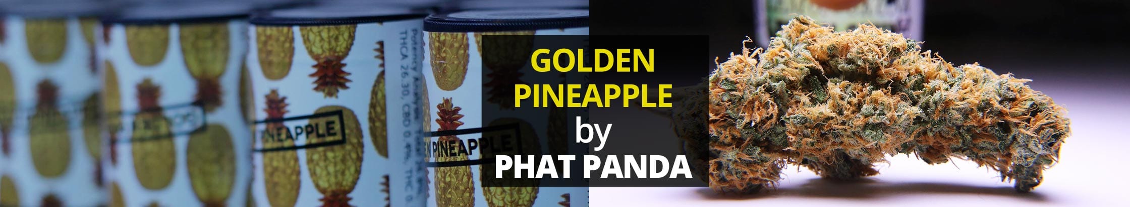 golden-pineapple-phat-panda-slice