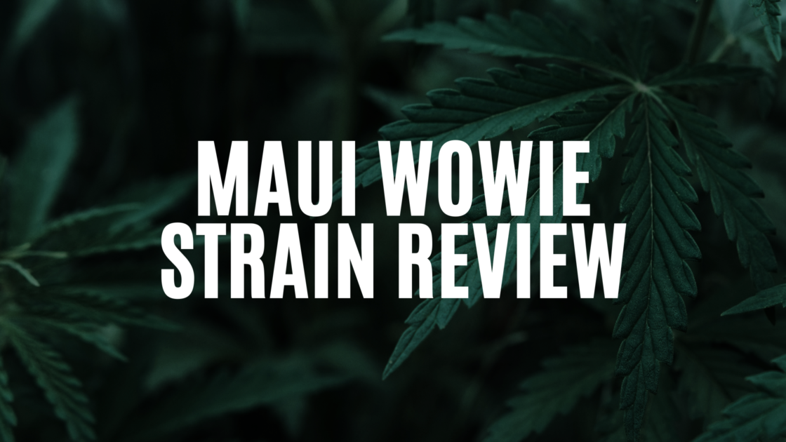 maui-wowie-strain-review