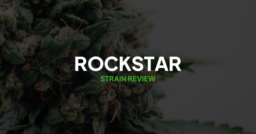 Rockstar Strain Review
