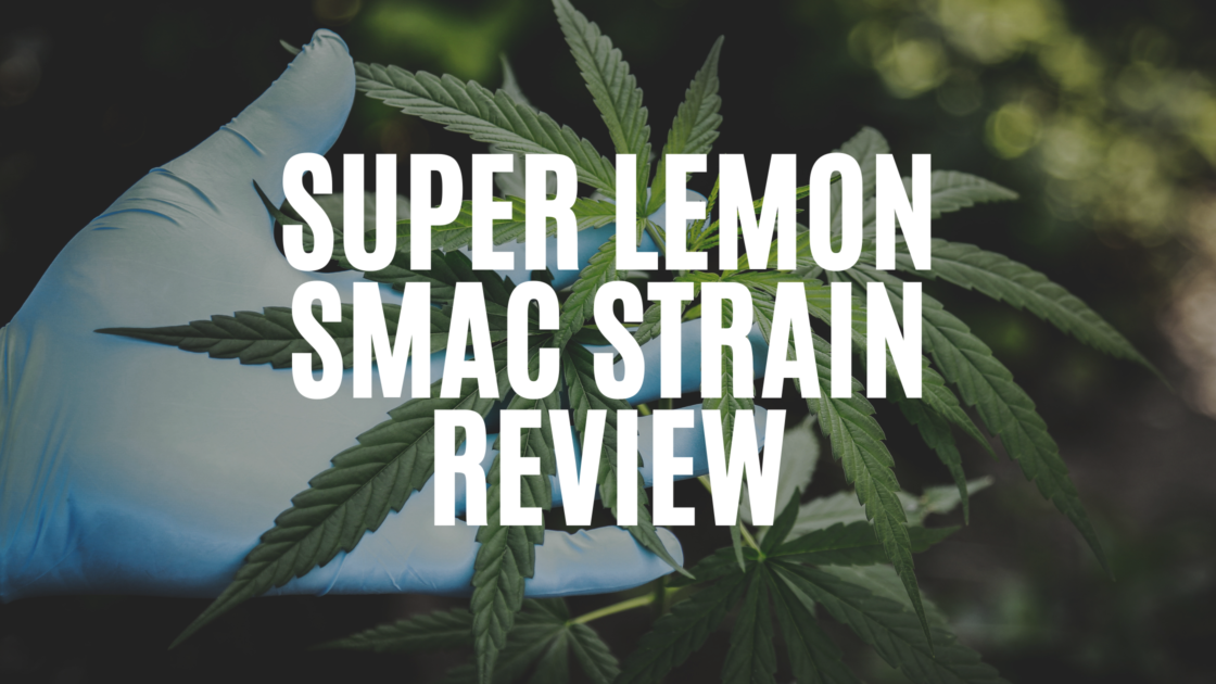 super-lemon-smac-strain-review