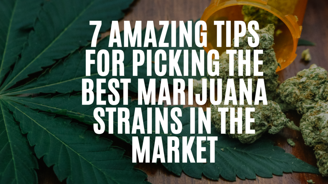 7-amazing-tips-for-picking-the-best-marijuana