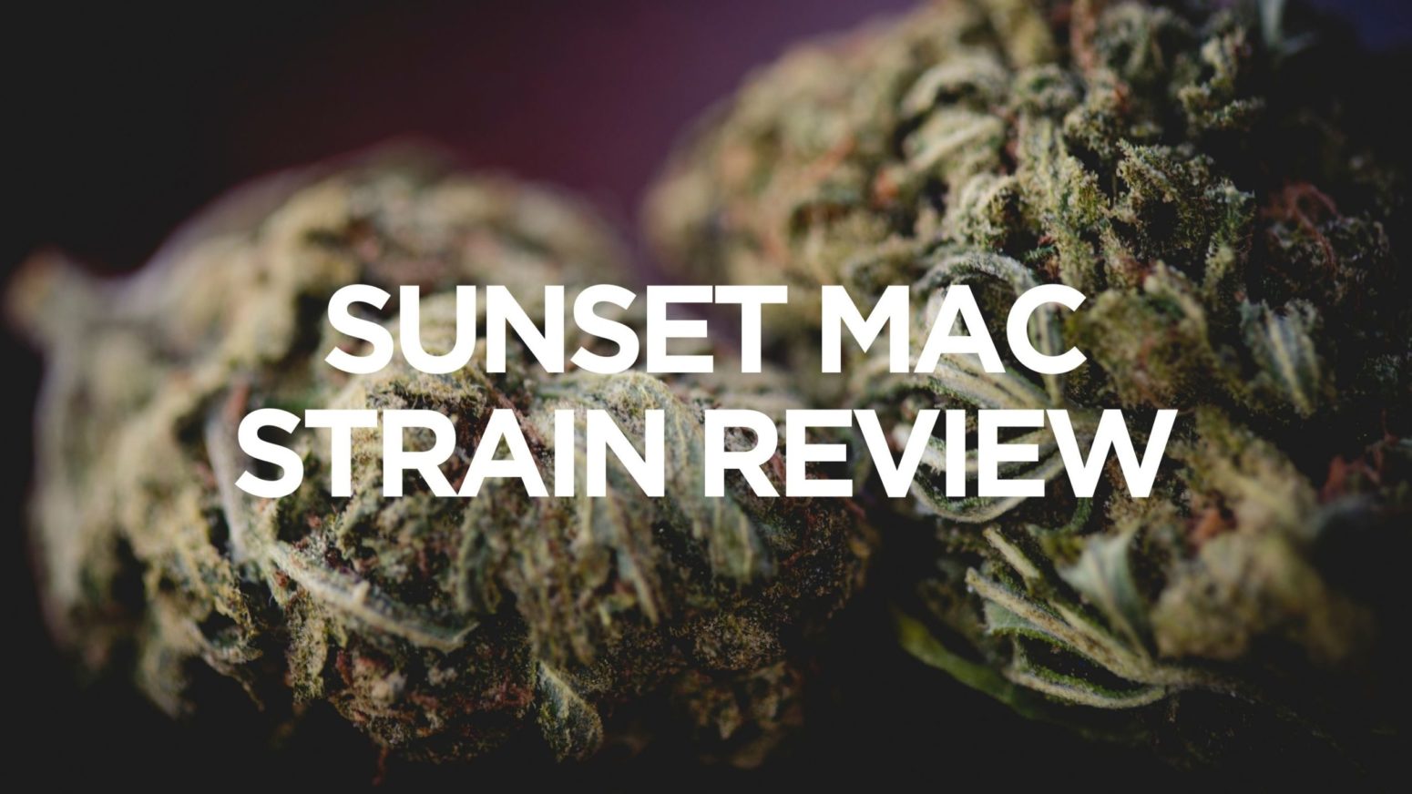 sunset-mac-strain-review