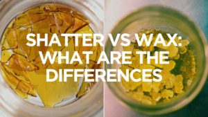 shatter-vs-wax-what-are-the-differences