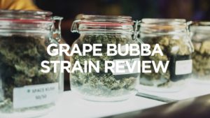 grape-bubba-strain-review