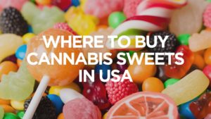 where-to-buy-cannabis-sweets-in-usa