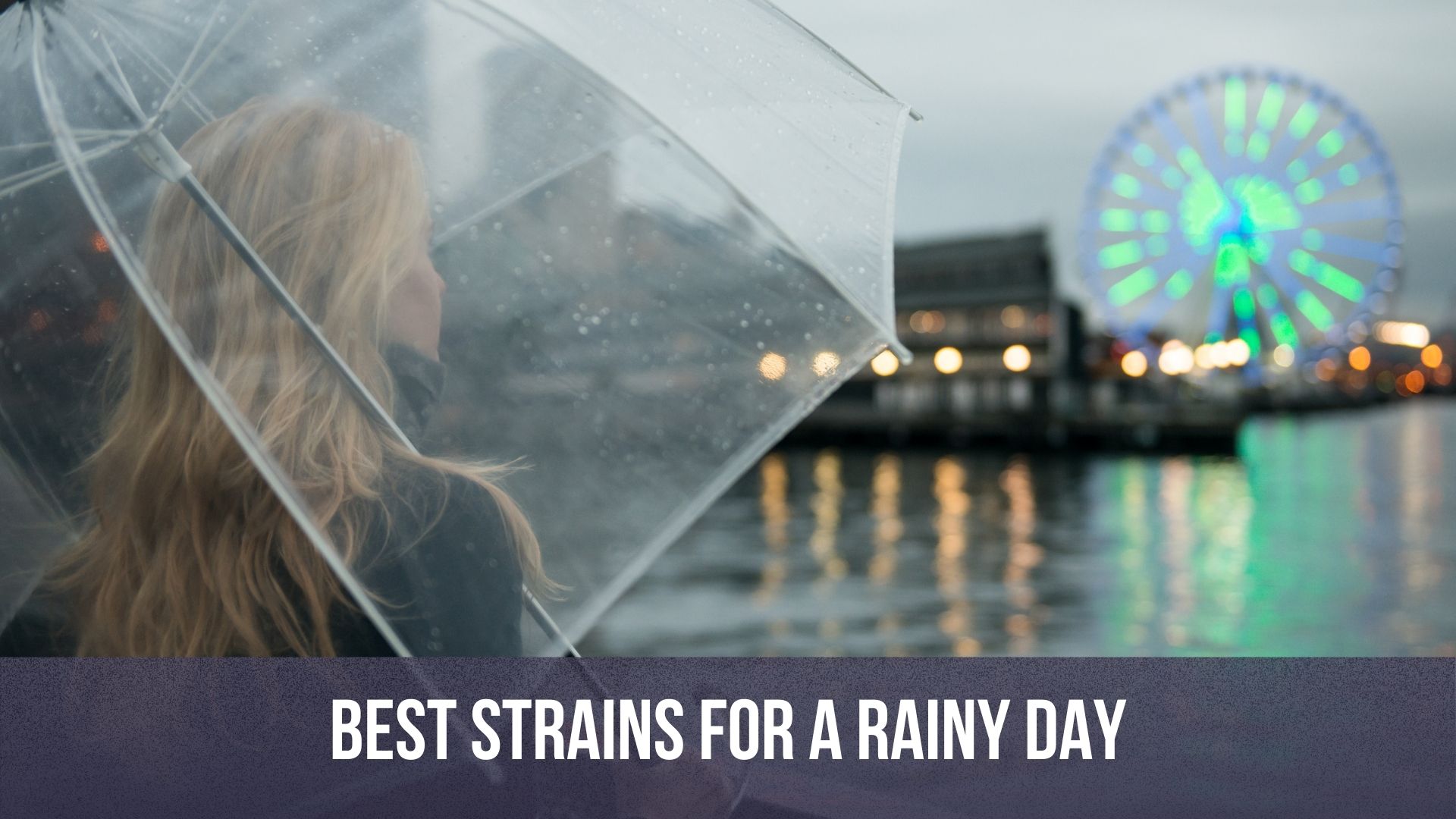 best cannabis strain for rainy day